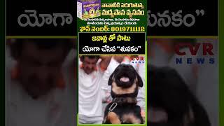 జవాన్ల తో పాటు యోగా చేసిన "శునకం" | Dog Video Viral | CVR News