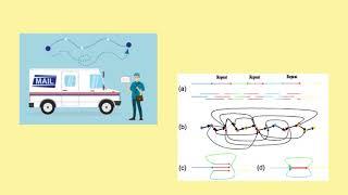 Digging Deeper To the Eularian & Hamiltonian Paths