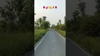  viral short video ll trending ll short ll status ll viral ll video ll trending ll short