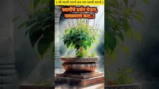 श्री स्वामी समर्थस्वामी नामस्मरण,कृपाशीर्वाद#swamisamarth#motivation#vitthal #swamiseva#love#swami