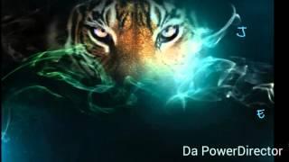 Eye Of The Tiger 2●15(Dj DaniBak remix)