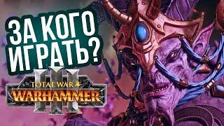 ТОП фракций в Total War: Warhammer 3. От самой сильной до самой сложной