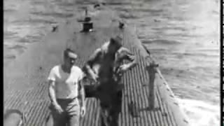 George Bush Rescued at Sea by the USS FInback - 02 September 1944