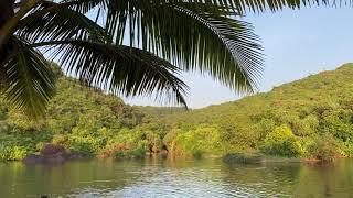 Arambol Sweet Water Lake #sweetwaterlake #arambol #goaafterlockdown #goa #goabeach