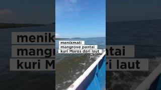 Menikmati Hutan Mangrove dari Laut