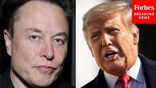 Donald Trump Praises Elon Musk During Campaign Rally In Michigan: ‘He’s The Greatest Guy’