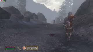 Imperial legion forresters in Oblivion