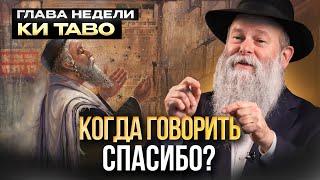 Вы должны это учесть! Как и когда говорить спасибо? Глава недели Ки Таво. Рав. Шмуэль Каминецкий