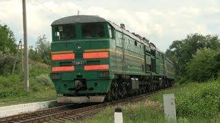 Тепловоз 3ТЭ10М-1041 на перегоне Петрешть-Бучумень / 3TE10M-1041 between Petresti and Buciumeni