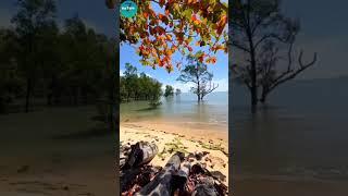 sea beach in the island/#beach #shortvideo #nature7