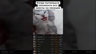 Когда пытаешься запомнить все квесты для локации | Escape from Tarkov
