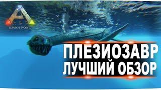 Плезиозавр (Plesiosaur) в АРК. Лучший обзор: приручение, разведение и способности  плезиозавра в ark