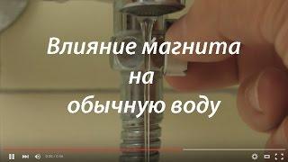 Влияние магнита на воду | Как магнит влияет на воду 