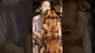 死鬼昨晚太用力，弄得我浑身都痠痛了 #funny #饲养员日常 #cute #pets #baby #animals #孕妈 #狗儿子#dog #couple
