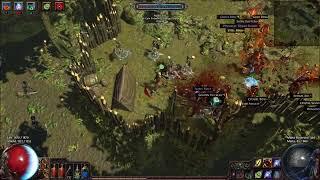 Path of Exile - Level 79 Summoner Witch (Gameplay)