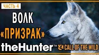 theHunter Call of the Wild #4  - Волк "Призрак" - Заказник "Куатро Колинас"