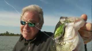 Rapala® Scatter Rap®