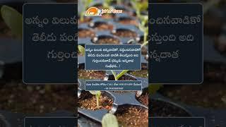 Motivational Quote For the Farmers | inspirational Quote  @JaiHoKisan