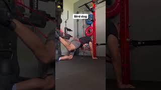 7 MonkeyFeet Exercises With Bands (Monkey Feet Workout) #shorts