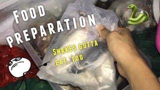 How I prepare my snake's meal ~ WARNING: Dead rodents !!!