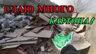 ПОИСК КАРТОНА НА СВАЛКЕ! СДАЧА КАРТОНА В ПУНКТ ПРИЕМА ВТОРСЫРЬЯ! КАК ЗАРАБОТАТЬ ДЕНЬГИ НА МУСОРЕ?