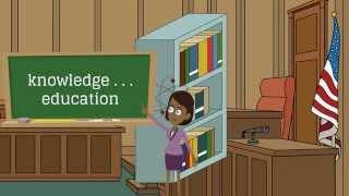 What is an expert witness?