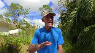 The Raw Vegan High Fruit Diet Is Too Extreme    Hogwash   HD 1080p