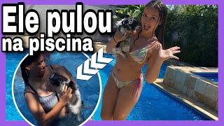 DESAFIO DA PISCINA! Meu cachorro pulou na piscina  3 irmãs demais