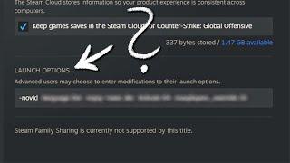 Steam Launch options