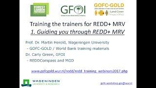 OLD VERSION Webinar 1: Guiding you through REDD  MRV planning