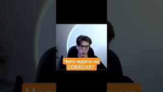 Чего Ждать на СОБЕСЕДОВАНИИ? #pylounge #джунгарики #собеседованиеpython #собеседование  #django