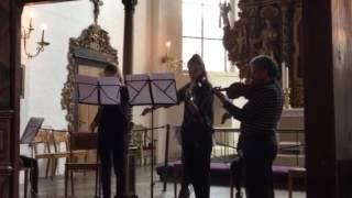 Canon - Bach Pachebel