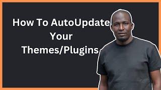 How To Auto Update Themes And Plugins