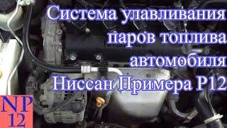 Система улавливания паров топлива Ниссан Примера Р12