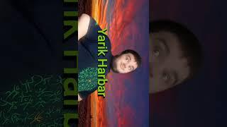 Yarik Harbar's Theme 4