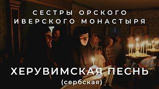 СЕСТРЫ ОРСКОГО МОНАСТЫРЯ - ХЕРУВИМСКАЯ ПЕСНЬ (СЕРБСКАЯ)