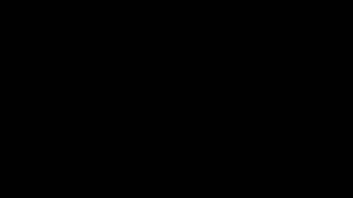 Spiros Internal Fluid Path (small clip showing fluid path)