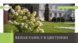 Клиника Rehab Family | Лечение алкогольной, наркотической зависимости, психологических расстройств