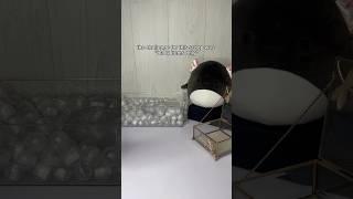 black fidget challenge! customer order! #fidgets #asmr #smallbusiness #mysteryscoop #haul