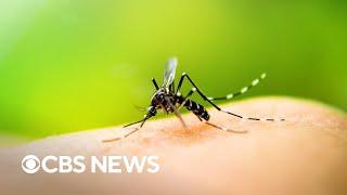 Mosquitoes carrying West Nile found in California