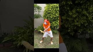 jom menari bersama oyen #oyen #kucing #fyp #funny #cat #transition #tiktokdance
