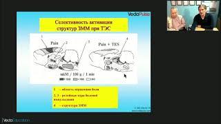 Открытый вебинар от «ВедаПульс»:  «ТЭС-терапия — метод активации эндорфинной системы»