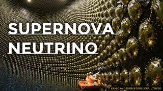 The Super-Kamiokande - Diffuse Supernova Neutrino Background (DSNB)