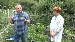 Сезон Забот. Готовим огород к осени с нашей Удобряшей для осени