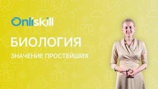 БИОЛОГИЯ 7 класс : Значение простейших | Видеоурок