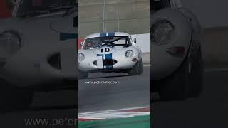 Jaguar E-Types in the Donington Historic Festival, Donington Park. 2022 #shorts