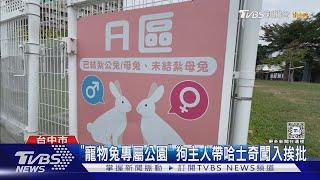 「寵物兔專屬公園」 狗主人帶哈士奇闖入挨批｜TVBS新聞 @TVBSNEWS01