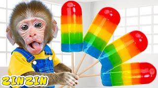 Monkey ZinZin Explores Sweet Rainbow Jelly and Play with Vending Machine | KUDO ANIMAL ZINZIN