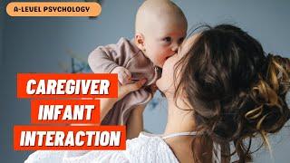 Caregiver-Infant Interaction | Attachment | AQA Psychology