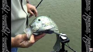 Springtime Crappie Tips 3